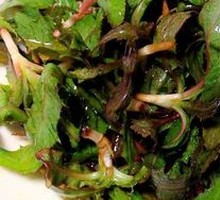 Mixed Wild Greens Salad