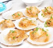 Scallop