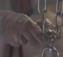 Hanging Oven Hot Pot