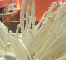 Enoki Mushroom
