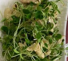 Walnut and Chinese Toon Sprout Salad
