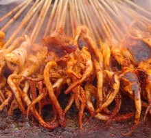 Grilled Squid on Iron Plate