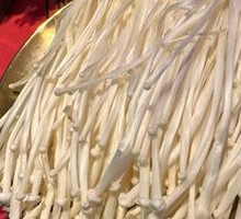 Enoki Mushroom