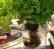 Organic Lettuce