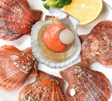 Small Red Clam
