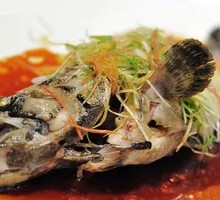 Steamed Grouper
