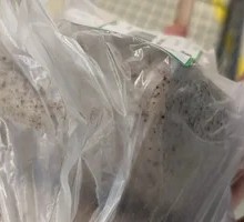 Steamed Bun