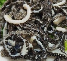 Stir-fried Tripe