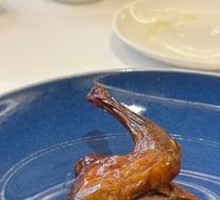 Tang Palace Gold Medal Pigeon