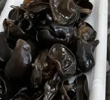 Northeast Black Wood Ear