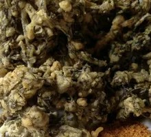 Fried Sichuan Pepper Shoots