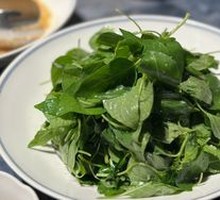 Bamboo Shoot and Cucumber Salad