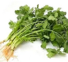 Spicy Sichuan Vegetable Stir-Fry