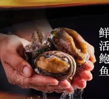 Fresh Abalone