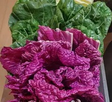 Today's Fresh Vegetable Mix