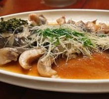 Steamed River Catfish