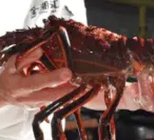 Boston Lobster Steamed with Golden Chili Sauce