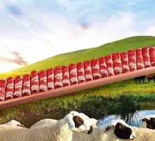 Suniite Large Plate Lamb