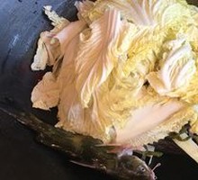 Napa cabbage