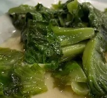 Stir-Fried Lettuce with Oyster Sauce