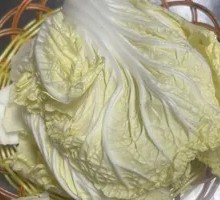 Napa cabbage