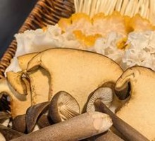 Mixed Mushroom Platter