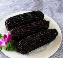 Grilled Corn