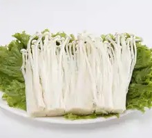 Enoki Mushroom