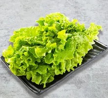 Lettuce Duo Mix