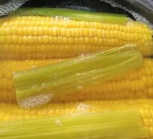 Boiled Corn