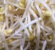 Bean sprouts