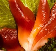 Arctic Scallop Sashimi