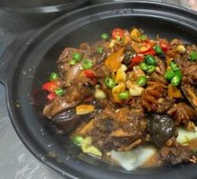 Stone Pot Softshell Turtle