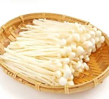 Enoki Mushroom