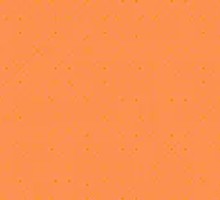 Spicy Chili Oil Pork Belly