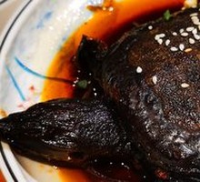Spicy Famous Softshell Turtle
