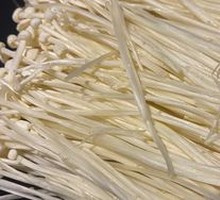 Enoki Mushroom