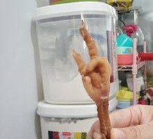Chicken Feet
