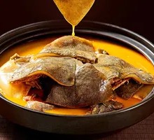 Stewed Softshell Turtle