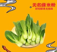 Chinese cabbage
