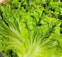 Lettuce