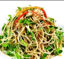 Tender香椿苗 with Tofu Strips