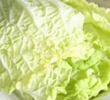 Napa cabbage