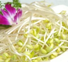 Bean sprouts