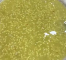 Rice Porridge