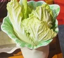 Napa cabbage