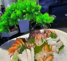 Salmon