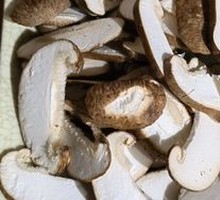 Shiitake Mushroom