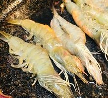 Large Shrimp