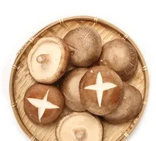 Shiitake Mushroom